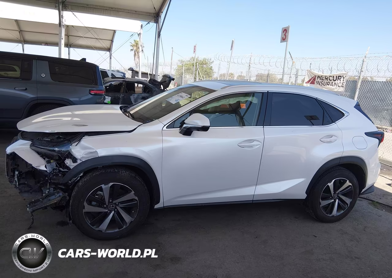 2021 Lexus Nx 300 VIN:JTJGARBZ5M5022948 - 14