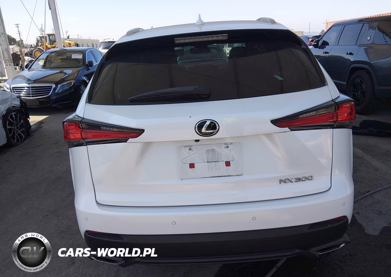 2021 Lexus Nx 300 VIN:JTJGARBZ5M5022948 - 16
