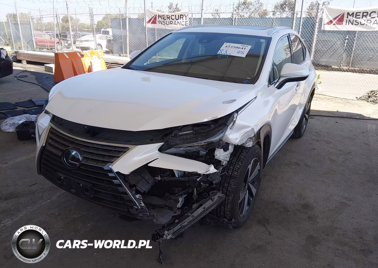 2021 Lexus Nx 300 VIN:JTJGARBZ5M5022948 - 2