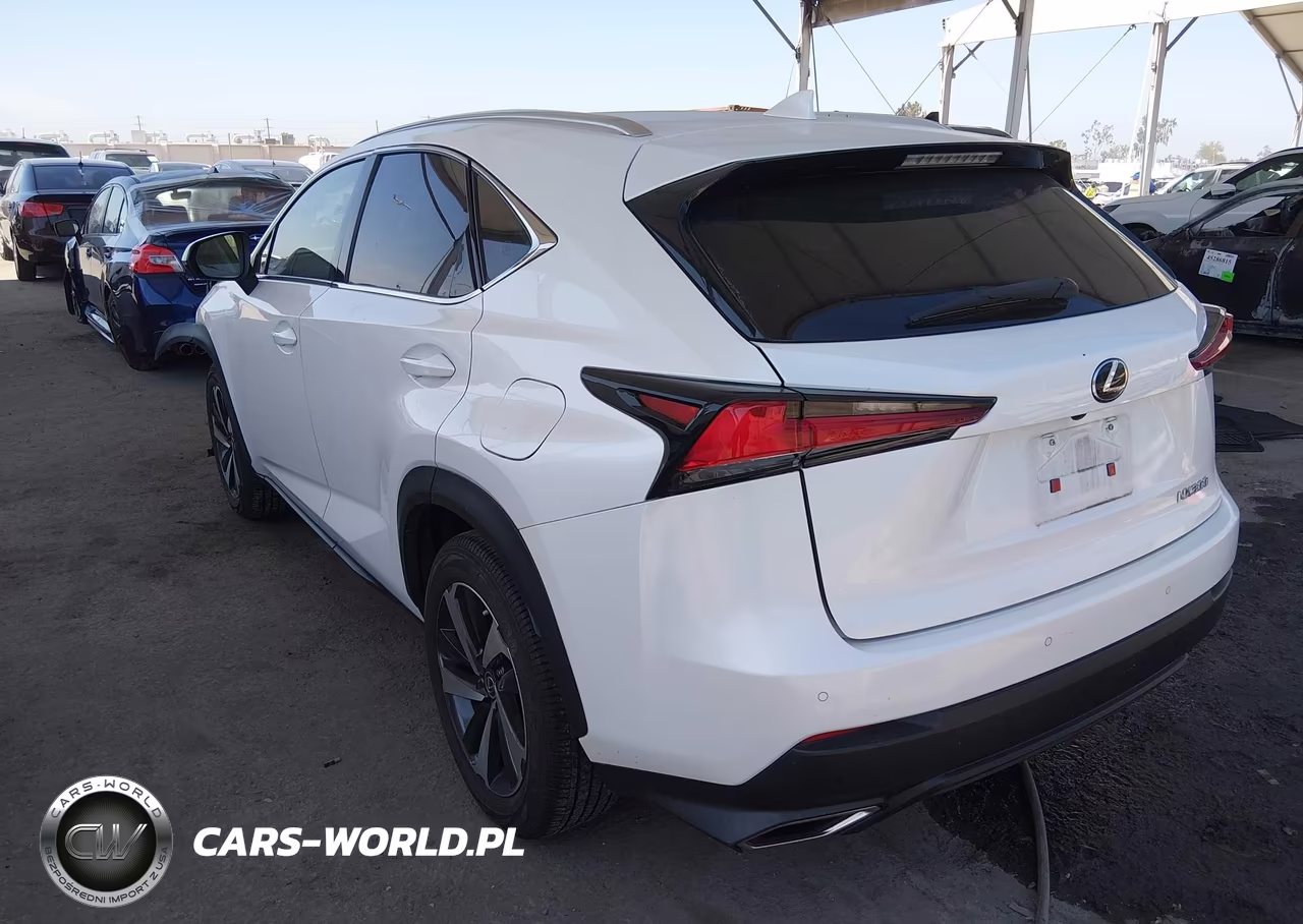 2021 Lexus Nx 300 VIN:JTJGARBZ5M5022948 - 3