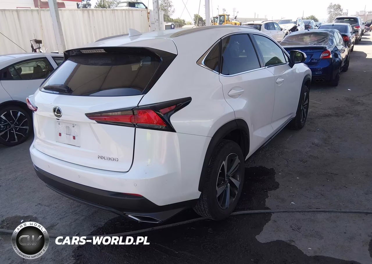 2021 Lexus Nx 300 VIN:JTJGARBZ5M5022948 - 4
