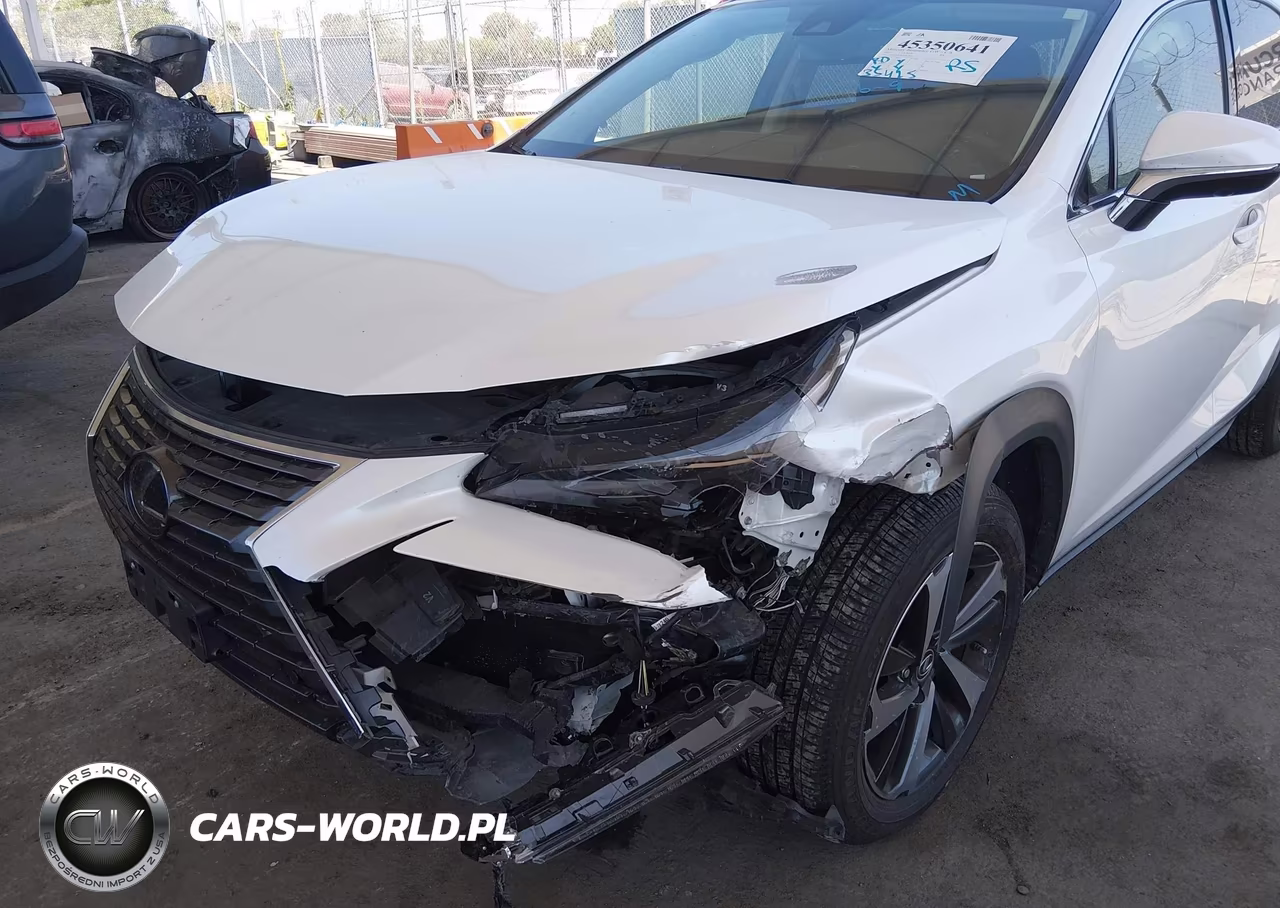 2021 Lexus Nx 300 VIN:JTJGARBZ5M5022948 - 6