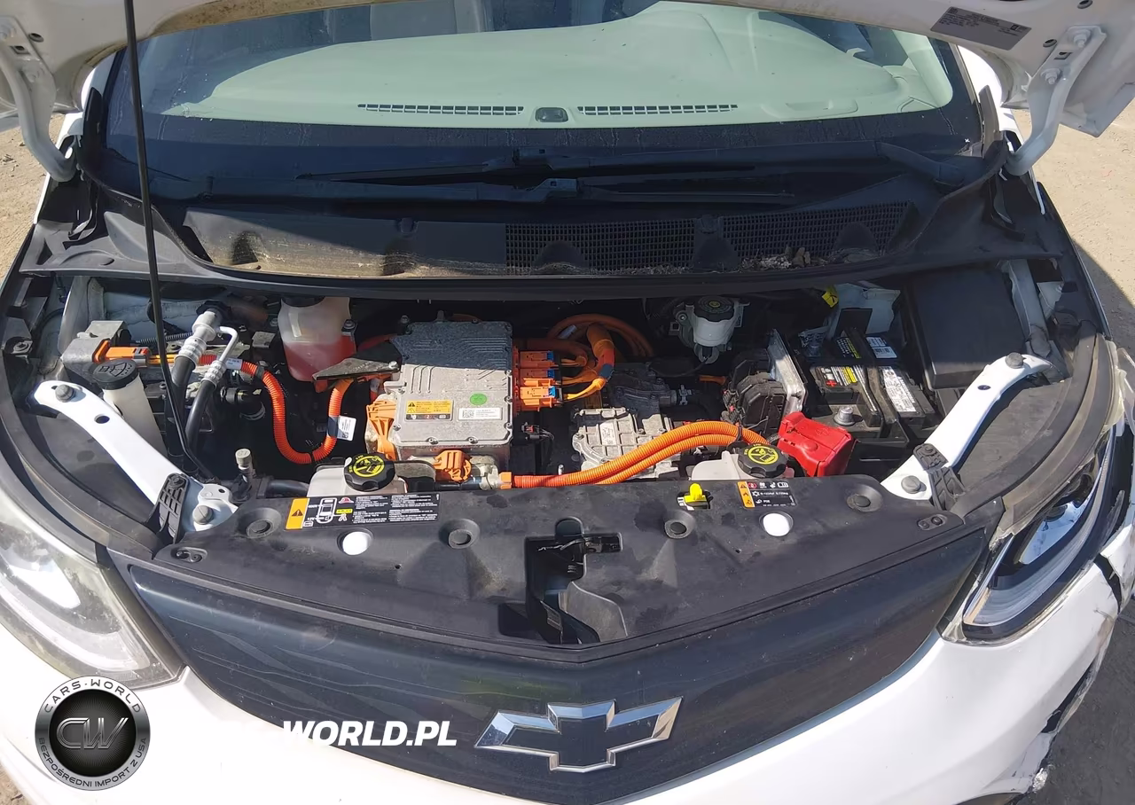 2017 Chevrolet Bolt Ev Premier VIN:1G1FX6S05H4160071 - 10