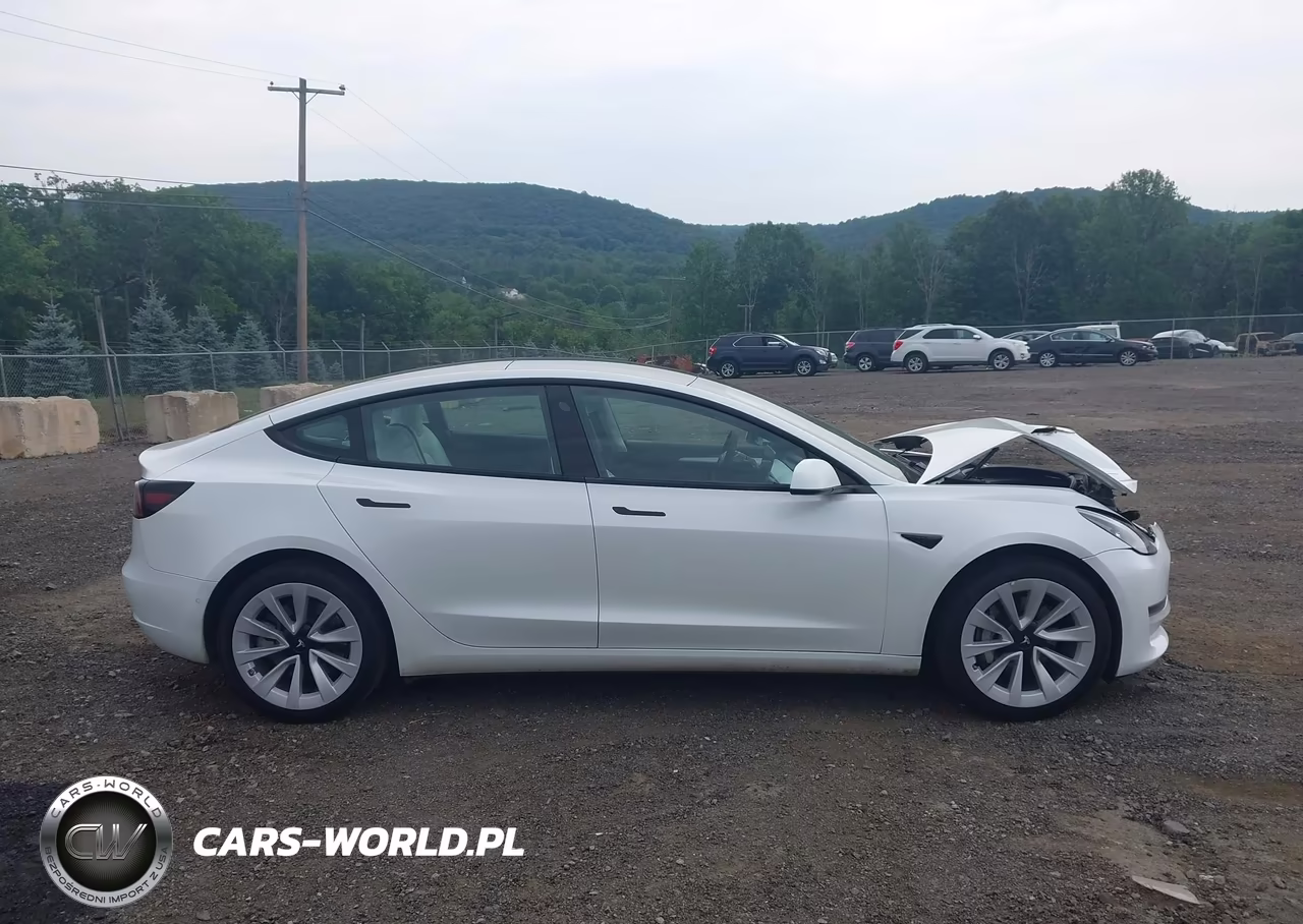 2022 Tesla Model 3 Long Range Dual Motor All-Wheel Drive VIN:5YJ3E1EB9NF253809 - 13