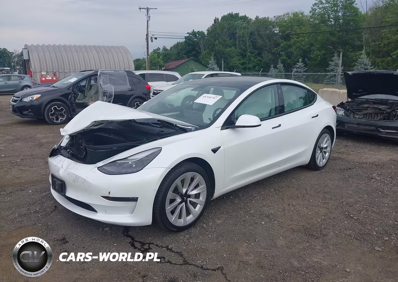 2022 Tesla Model 3 Long Range Dual Motor All-Wheel Drive VIN:5YJ3E1EB9NF253809 - 2