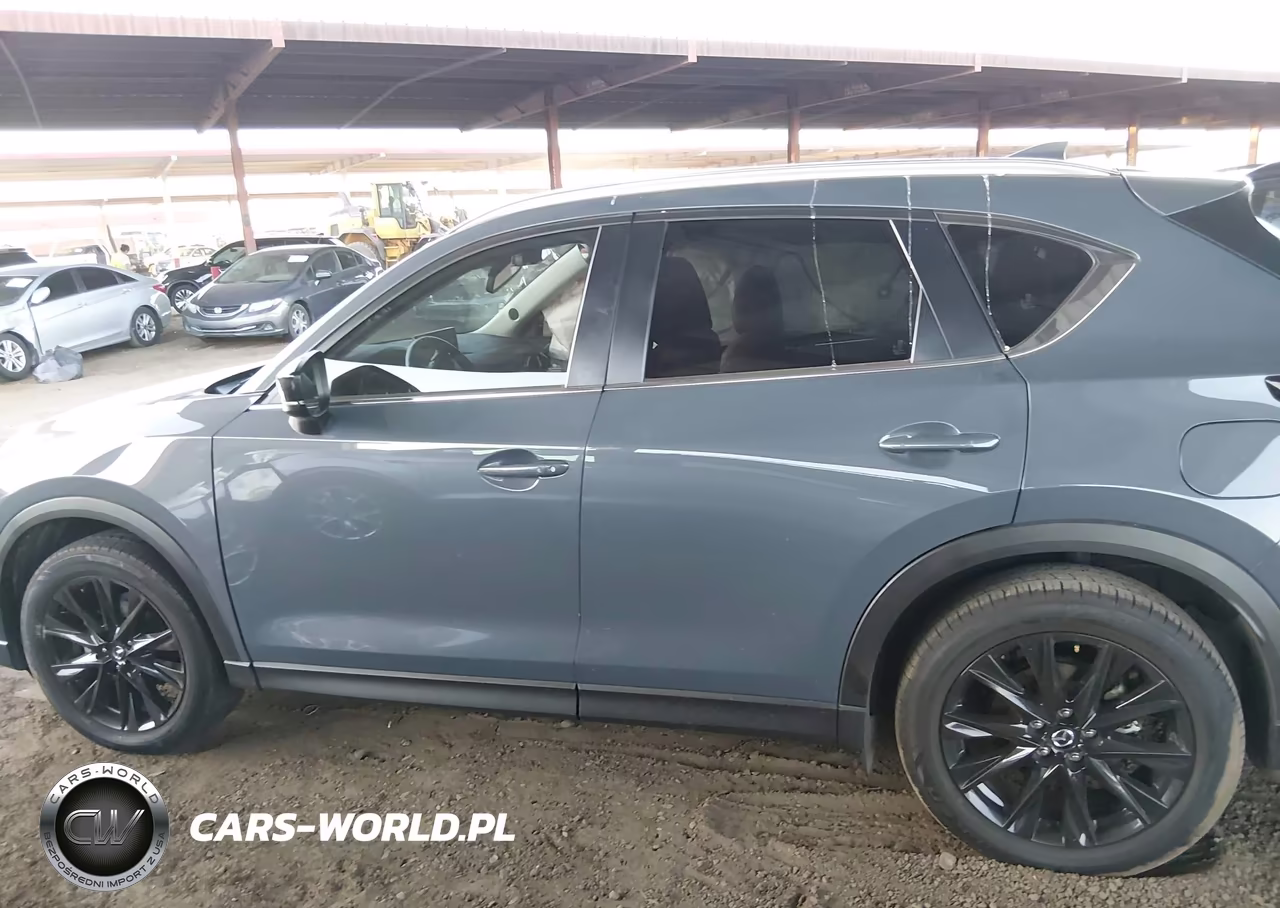 2023 Mazda Cx-5 2.5 S Carbon Edition VIN:JM3KFBCM8P0180900 - 14