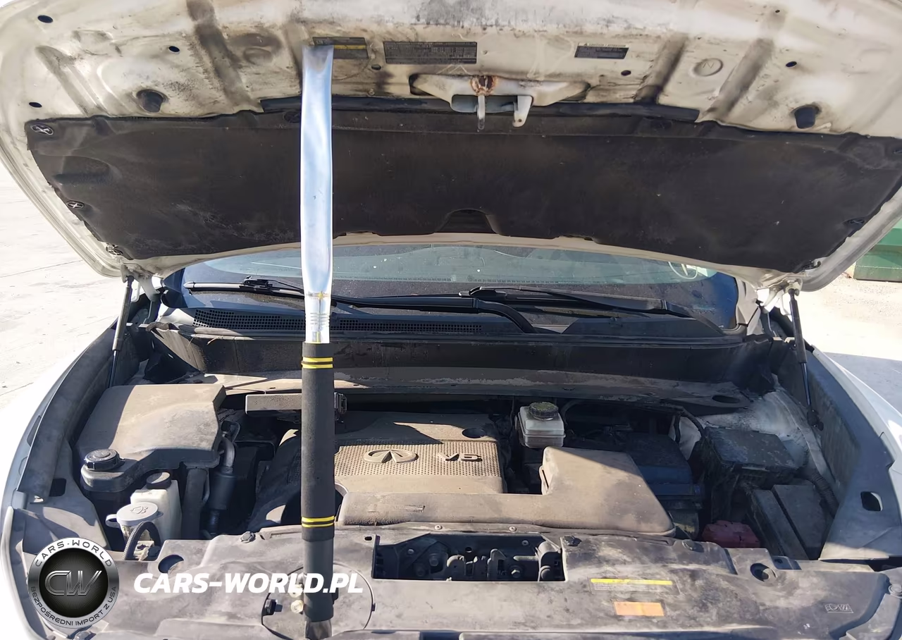 2016 Infiniti Qx60 VIN:5N1AL0MM0GC507980 - 10