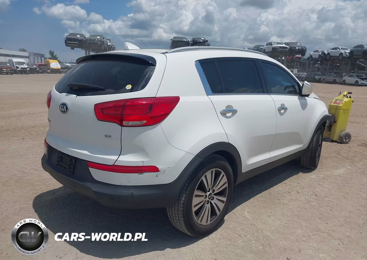 2015 Kia Sportage Ex VIN:KNDPC3AC1F7738339 - 4