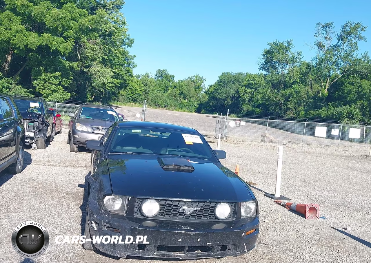 2006 Ford Mustang Gt VIN:1ZVFT82H765233272 - 12