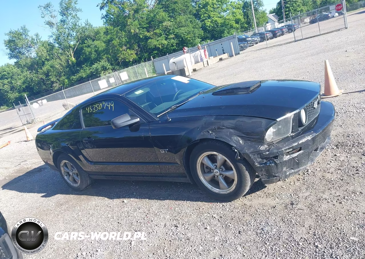 2006 Ford Mustang Gt VIN:1ZVFT82H765233272 - 13
