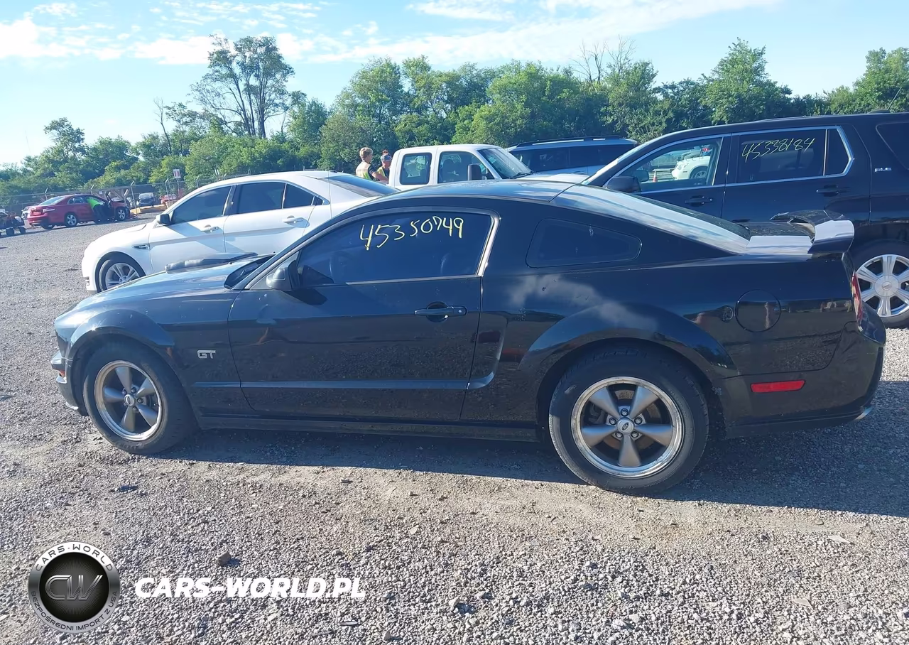 2006 Ford Mustang Gt VIN:1ZVFT82H765233272 - 14