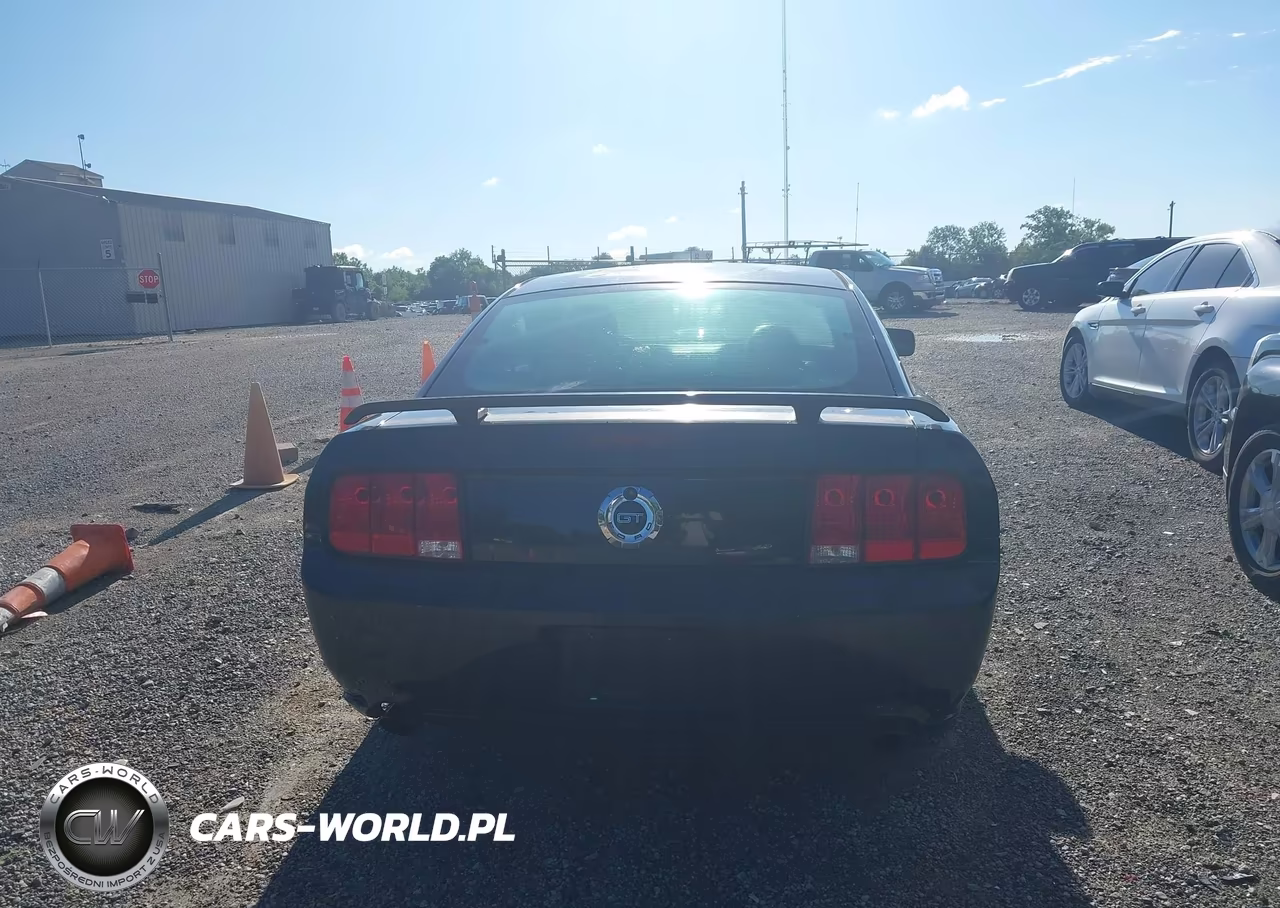 2006 Ford Mustang Gt VIN:1ZVFT82H765233272 - 16