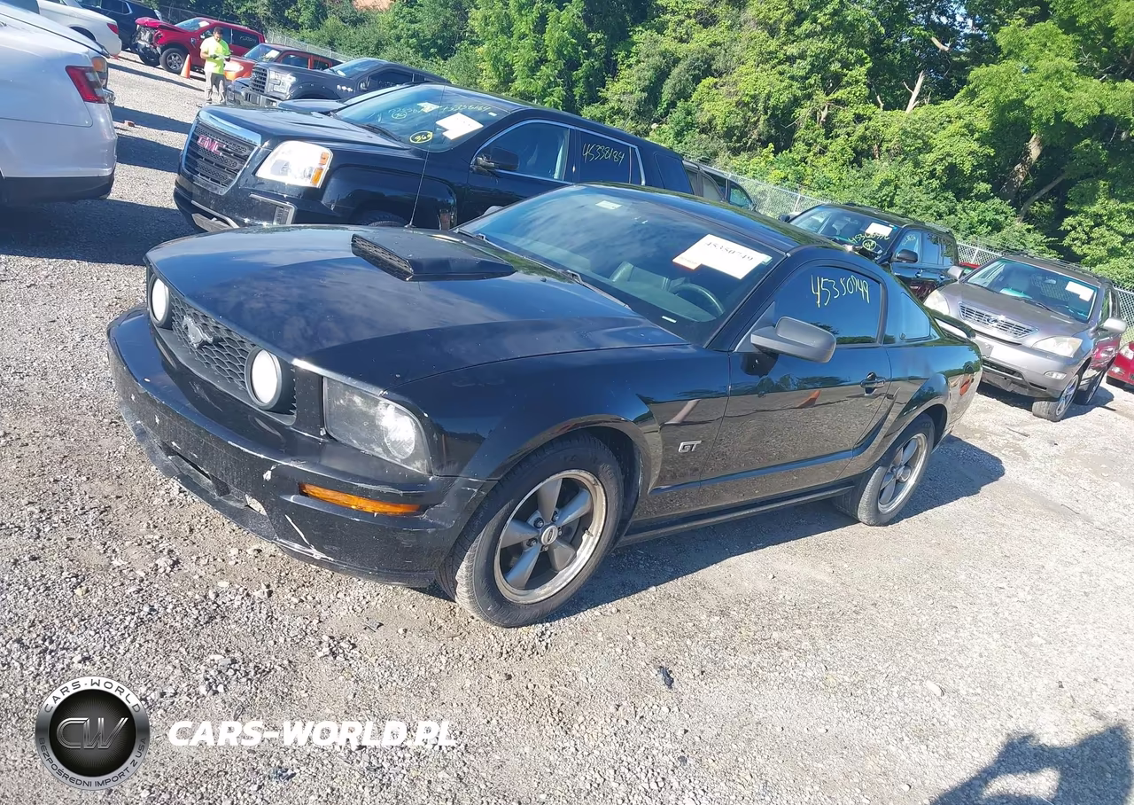 2006 Ford Mustang Gt VIN:1ZVFT82H765233272 - 2