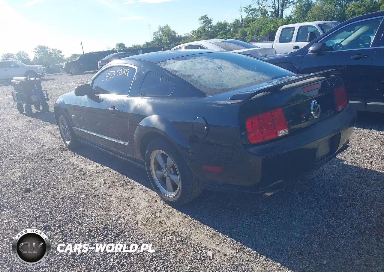 2006 Ford Mustang Gt VIN:1ZVFT82H765233272 - 3