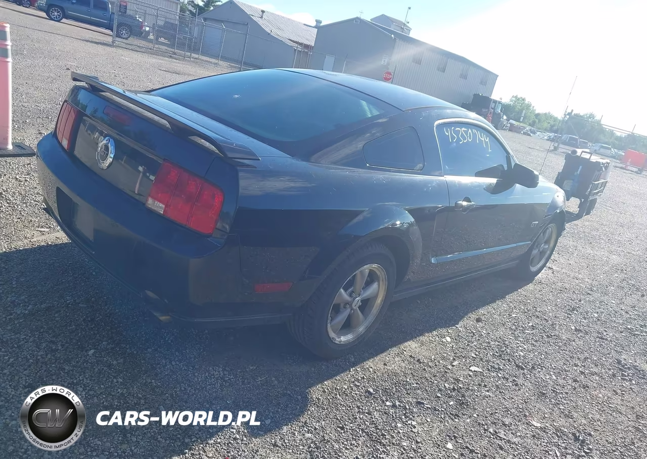 2006 Ford Mustang Gt VIN:1ZVFT82H765233272 - 4