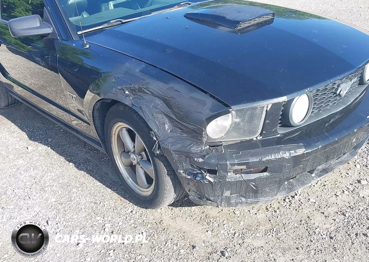 2006 Ford Mustang Gt VIN:1ZVFT82H765233272 - 6