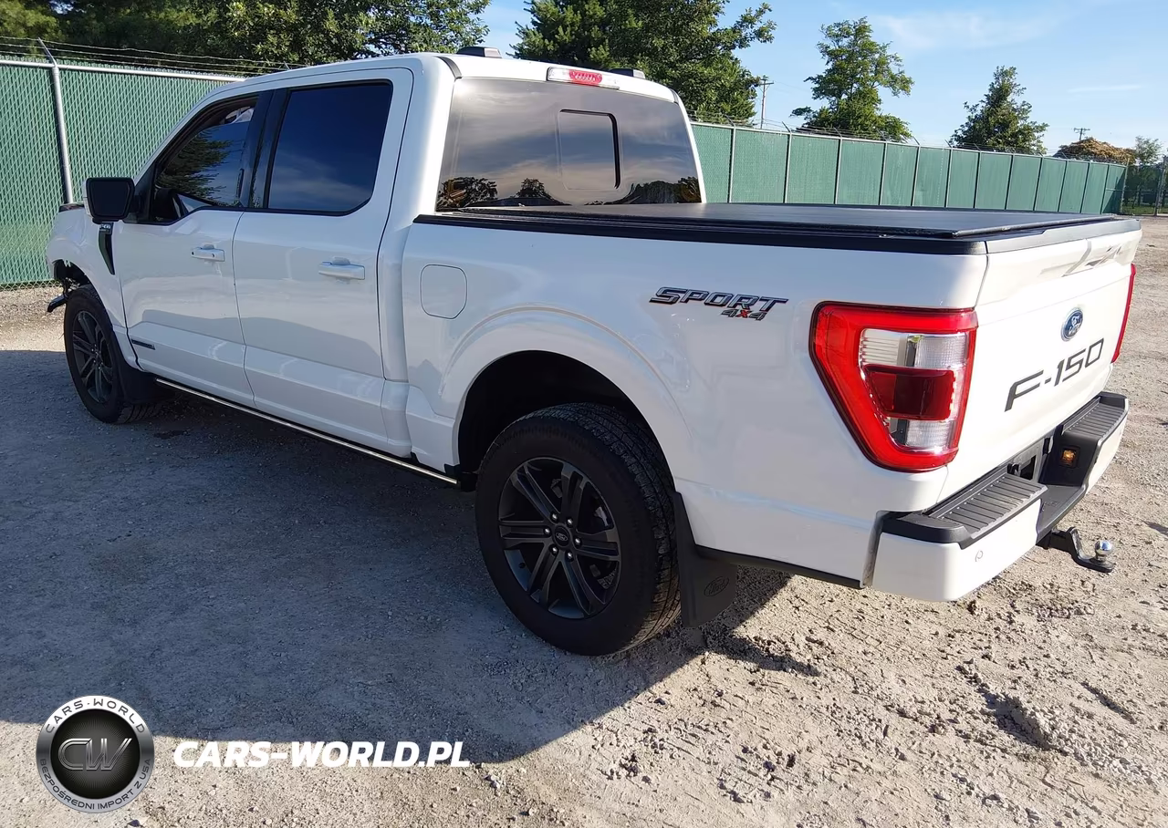 2023 Ford F-150 Lariat VIN:1FTFW1ED8PFC83667 - 3