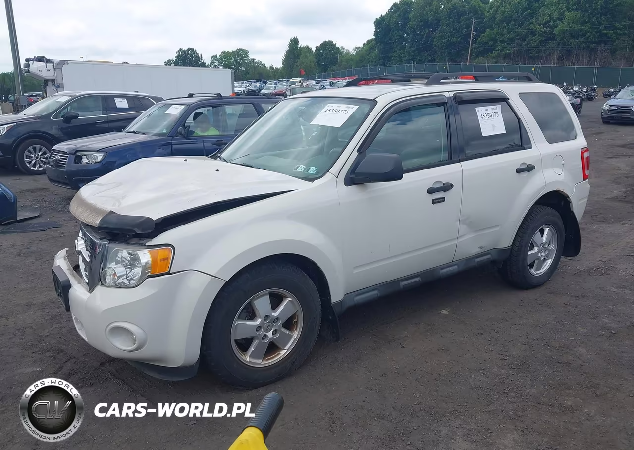 2011 Ford Escape Xlt VIN:1FMCU9D70BKB58385 - 2