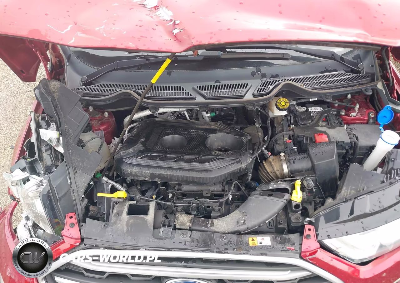 2019 Ford Ecosport Se VIN:MAJ6S3GL9KC284919 - 10