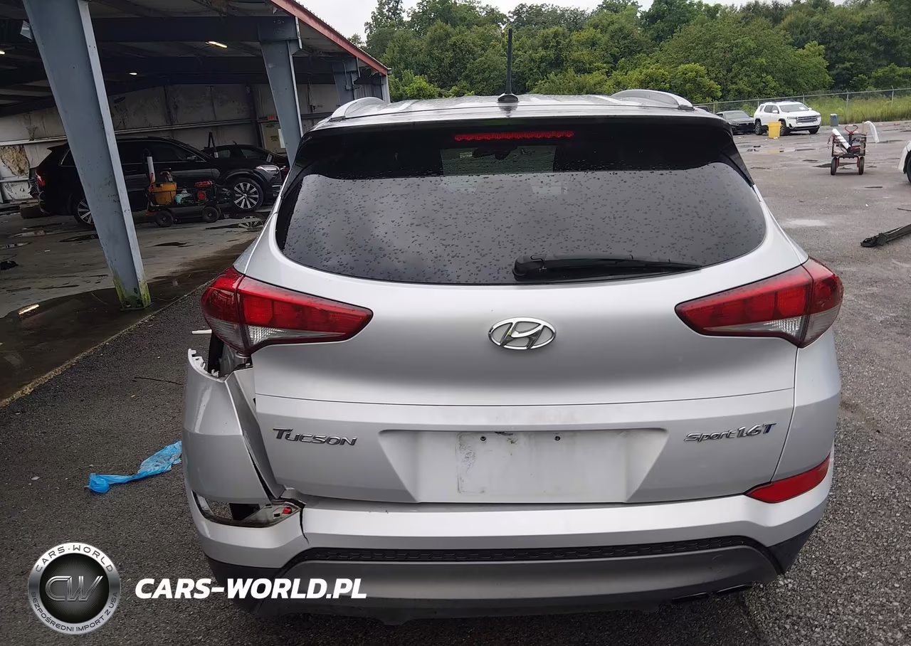 2016 Hyundai Tucson Sport VIN:KM8J33A28GU164964 - 16
