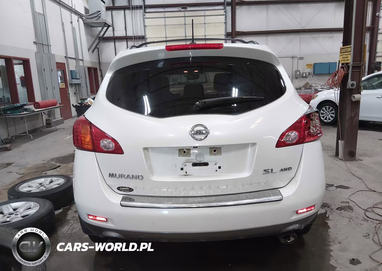 2010 Nissan Murano Sl VIN:JN8AZ1MW8AW132182 - 17