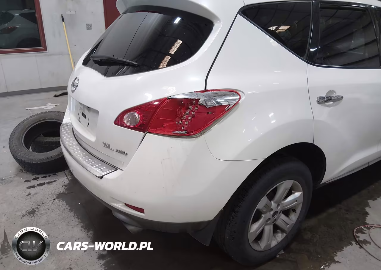 2010 Nissan Murano Sl VIN:JN8AZ1MW8AW132182 - 6