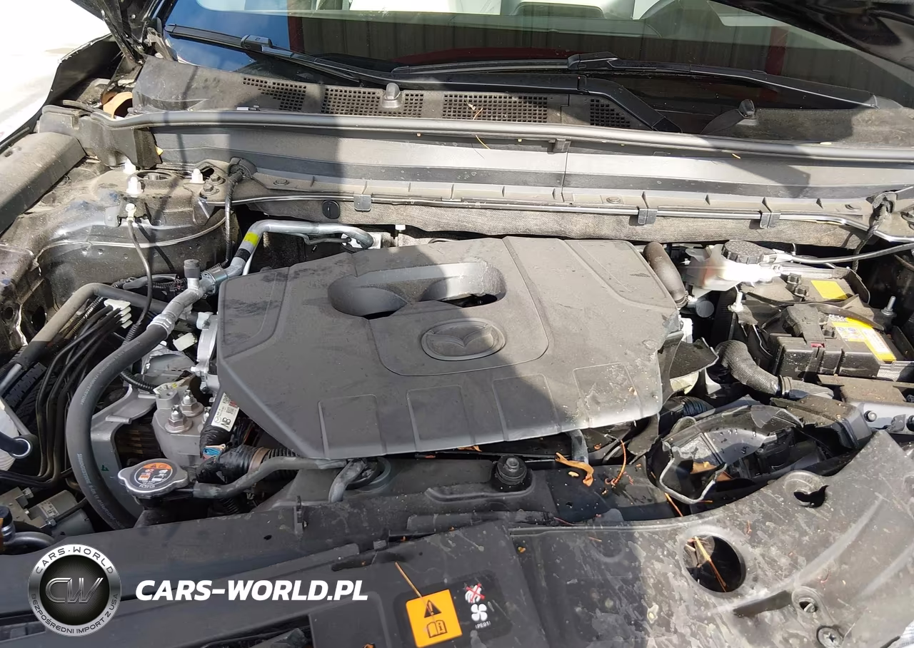 2025 Mazda Cx-5 2.5 S Premium Plus VIN:JM3KFBEM0S0543678 - 10
