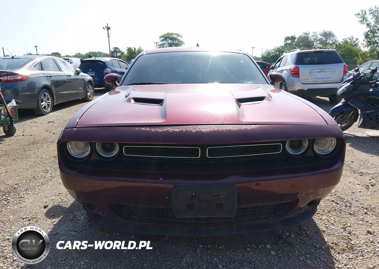 2019 Dodge Challenger Sxt VIN:2C3CDZAG0KH616396 - 12
