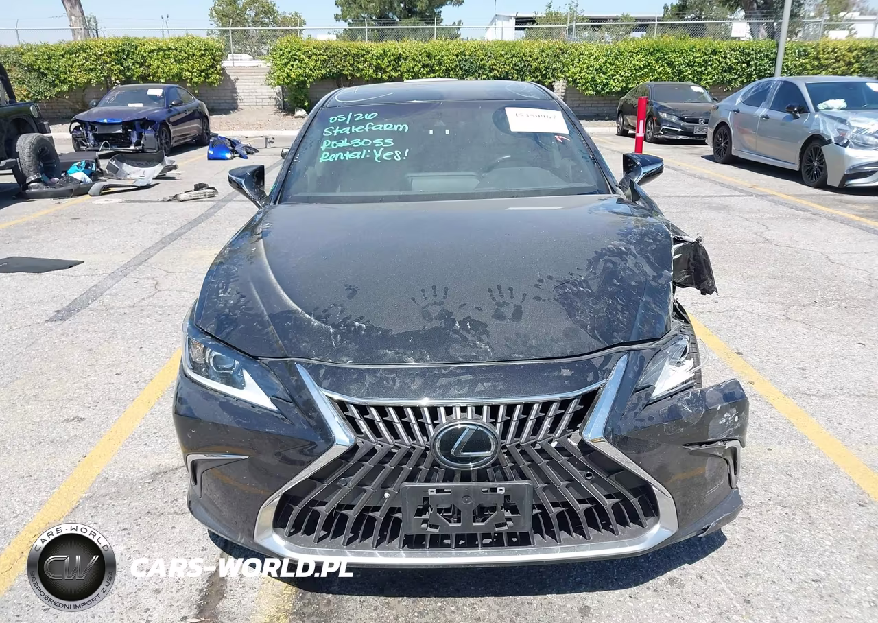2024 Lexus Es 300H VIN:58ADA1C10RU042316 - 12