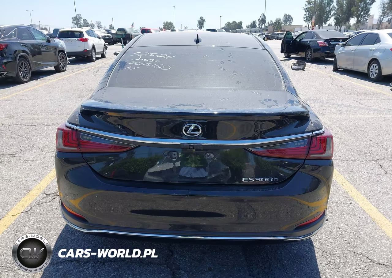 2024 Lexus Es 300H VIN:58ADA1C10RU042316 - 16