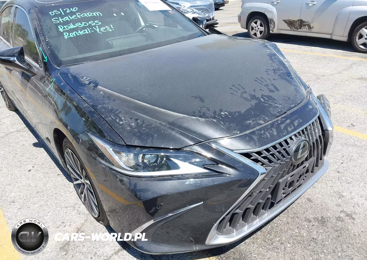 2024 Lexus Es 300H VIN:58ADA1C10RU042316 - 17