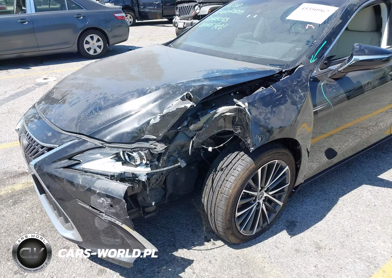 2024 Lexus Es 300H VIN:58ADA1C10RU042316 - 6