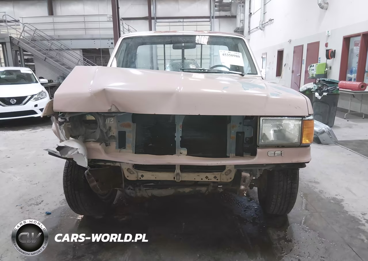 1989 Ford F150 VIN:1FTDF15Y8KPA60378 - 13