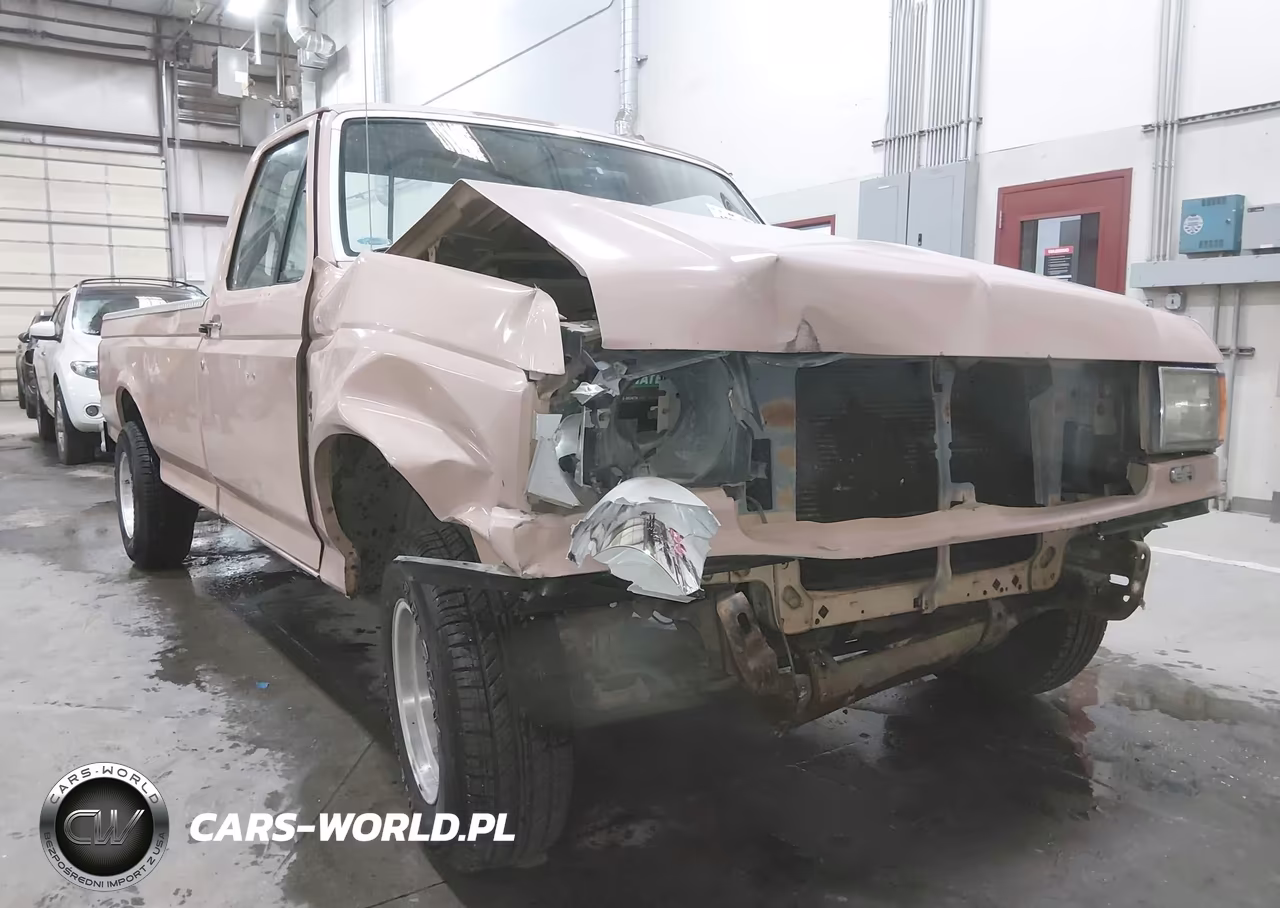 1989 Ford F150 VIN:1FTDF15Y8KPA60378 - 20