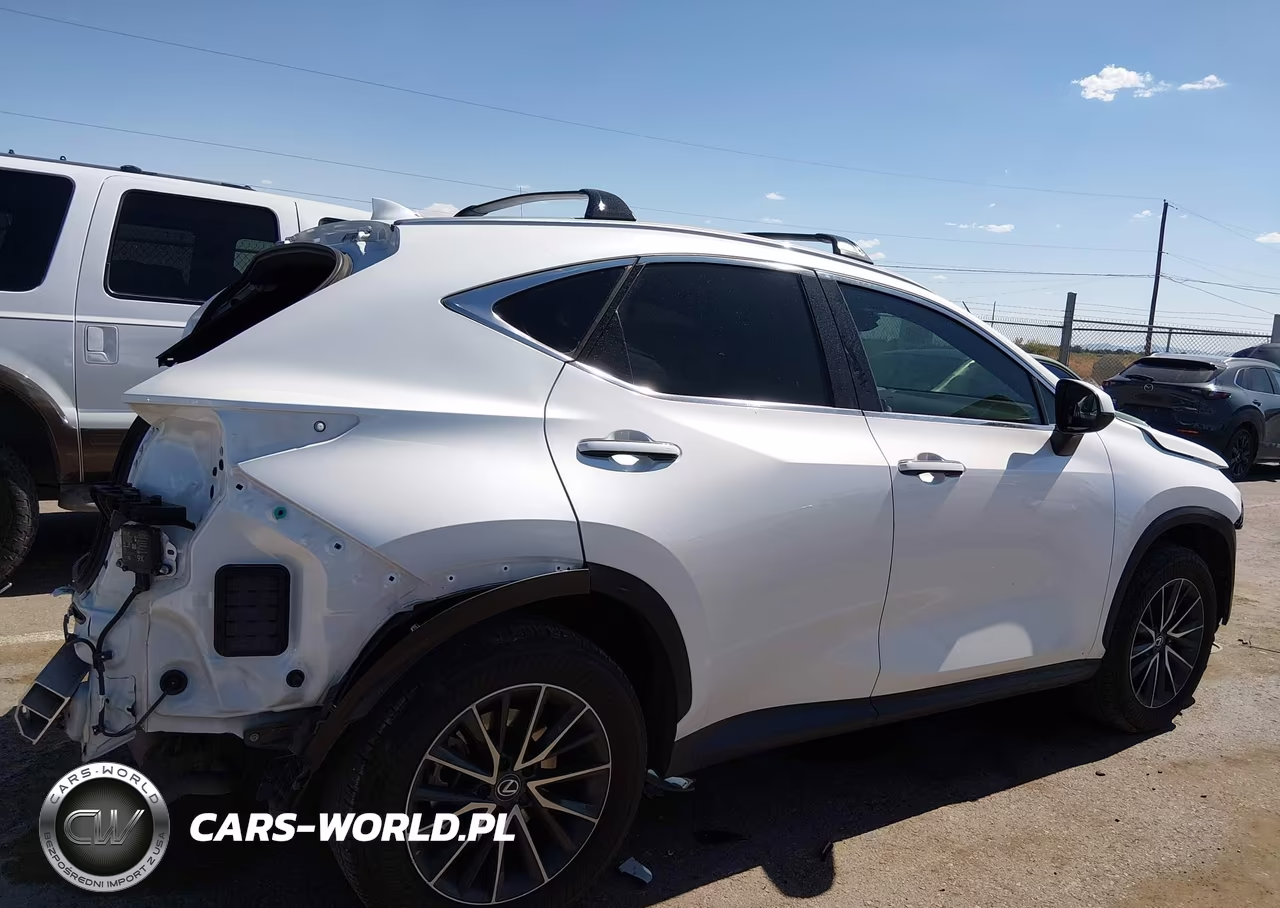 2025 Lexus Nx 250 Premium VIN:2T2GDCAZXSC025400 - 13
