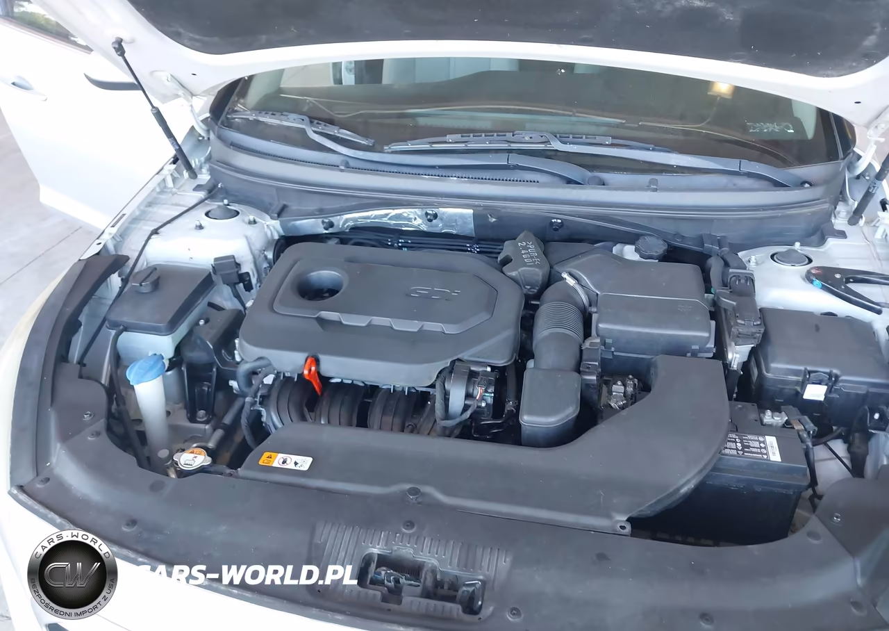 2015 Hyundai Sonata Se VIN:5NPE24AF2FH187926 - 10
