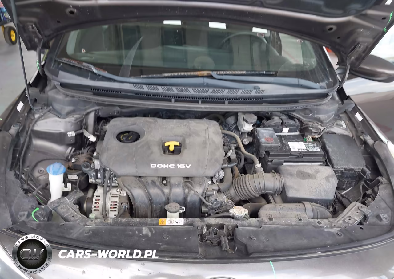 2017 Kia Forte Lx VIN:3KPFK4A75HE115493 - 10