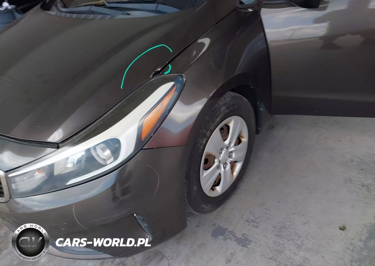 2017 Kia Forte Lx VIN:3KPFK4A75HE115493 - 12