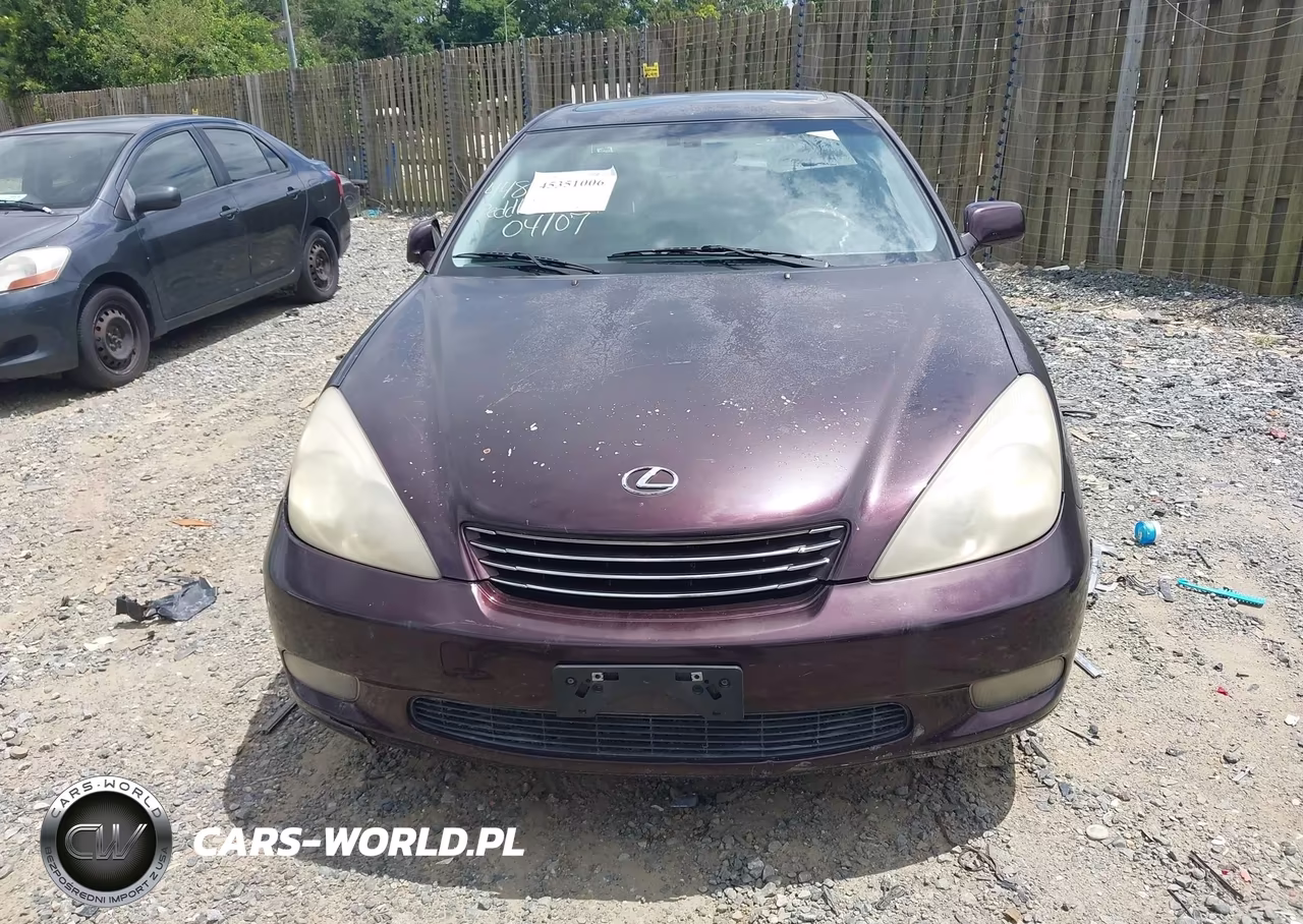 2004 Lexus Es 330 VIN:JTHBA30G640002067 - 6