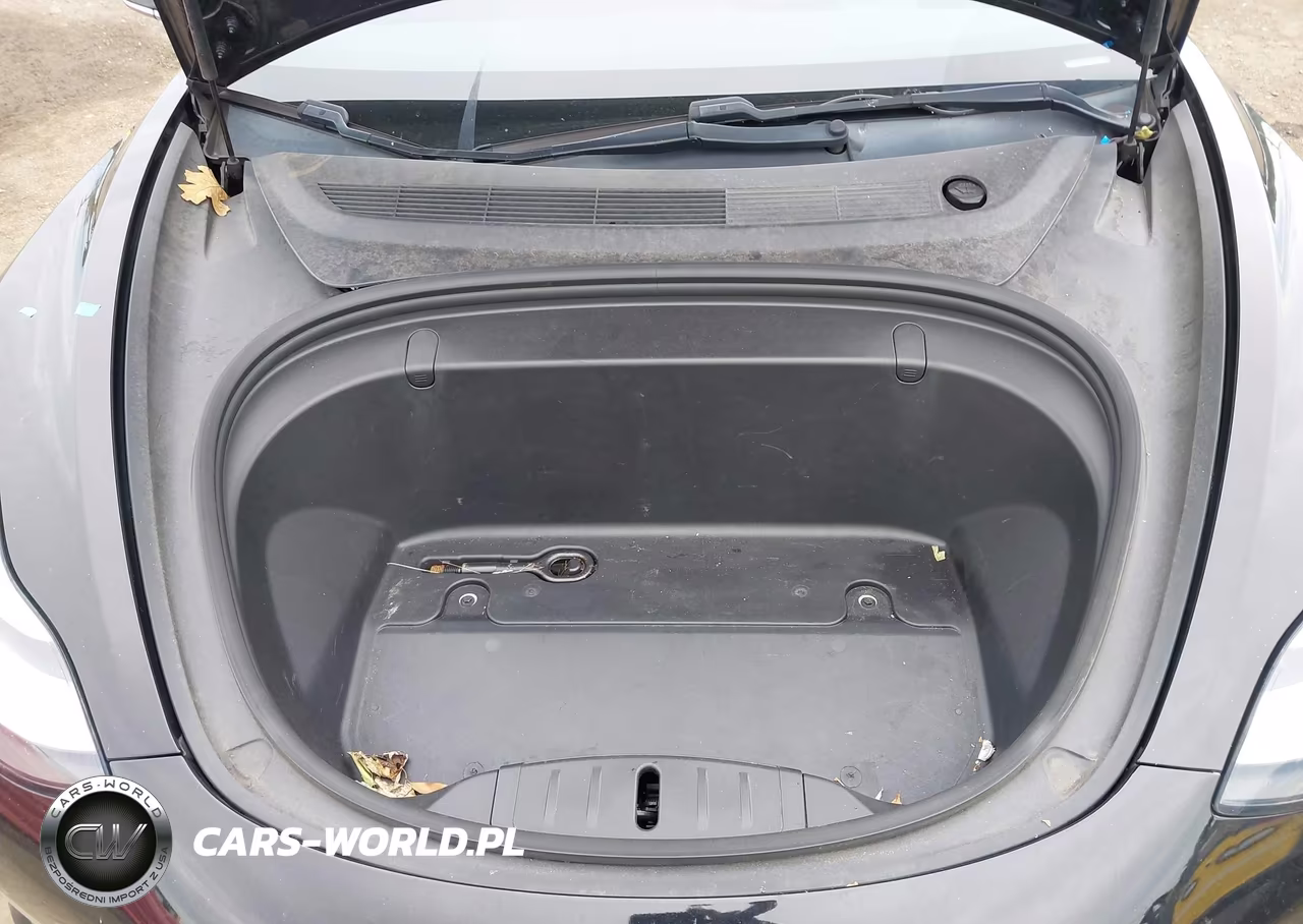 2019 Tesla Model 3 Long Range-Mid Range-Standard Range-Standard Range Plus VIN:5YJ3E1EA4KF425764 - 10