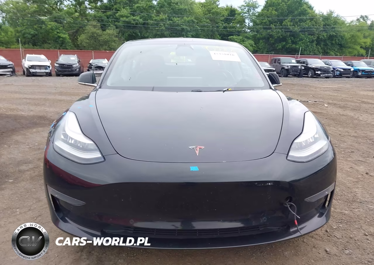 2019 Tesla Model 3 Long Range-Mid Range-Standard Range-Standard Range Plus VIN:5YJ3E1EA4KF425764 - 12