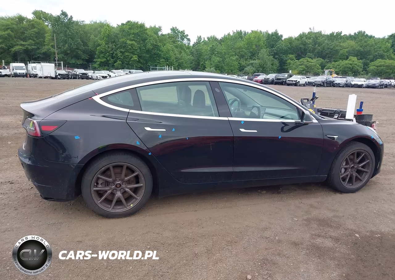 2019 Tesla Model 3 Long Range-Mid Range-Standard Range-Standard Range Plus VIN:5YJ3E1EA4KF425764 - 13