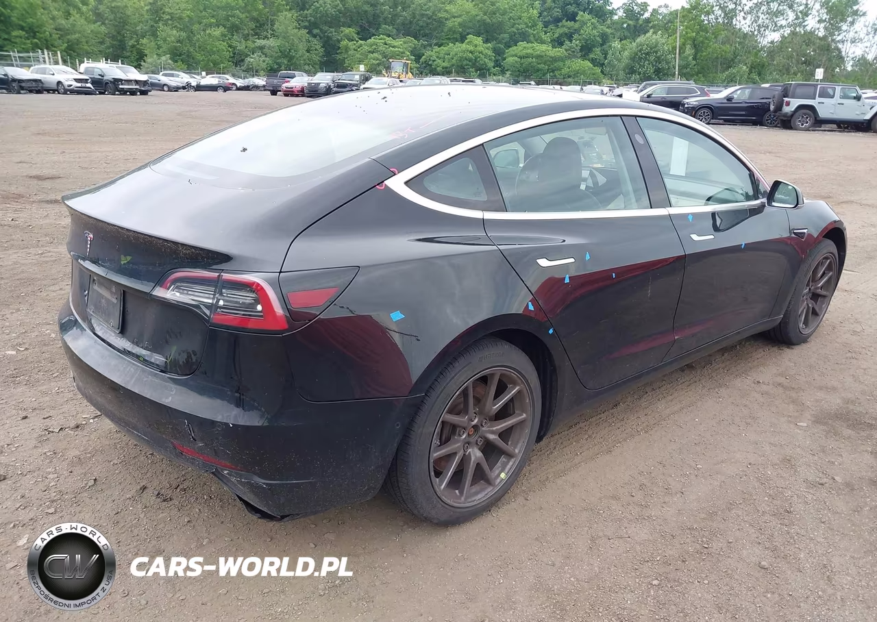 2019 Tesla Model 3 Long Range-Mid Range-Standard Range-Standard Range Plus VIN:5YJ3E1EA4KF425764 - 4