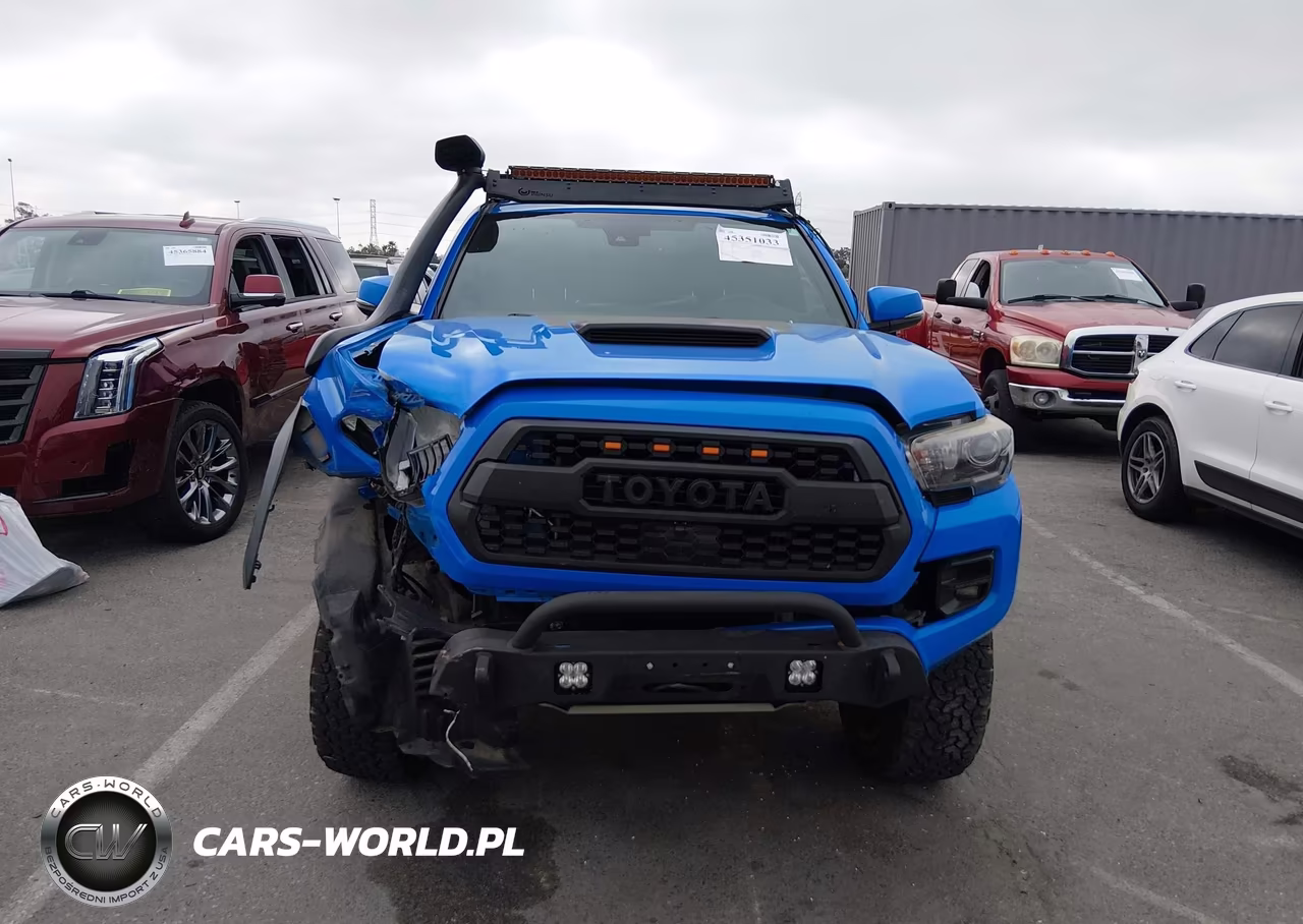 2019 Toyota Tacoma Trd Pro VIN:5TFCZ5AN5KX182976 - 12