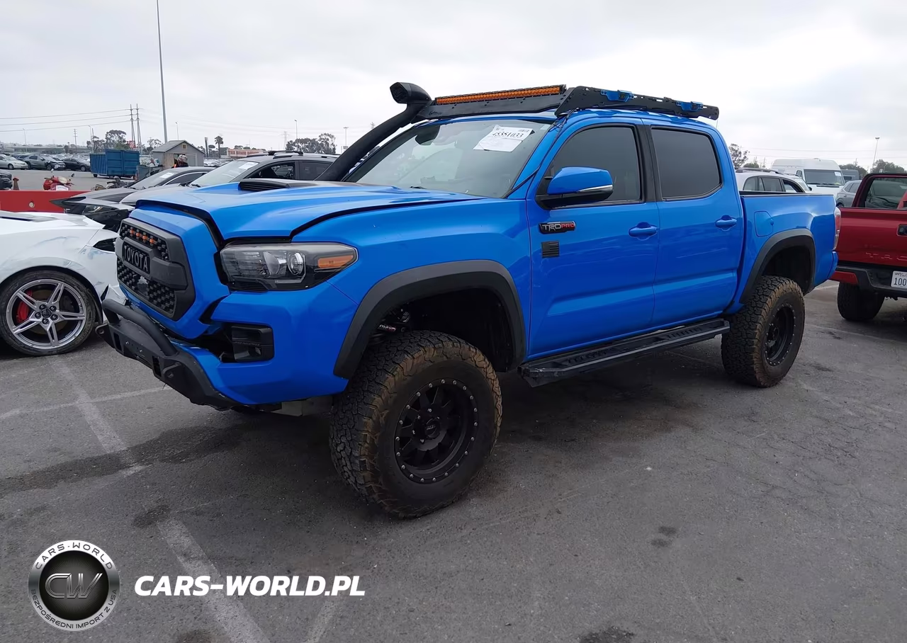 2019 Toyota Tacoma Trd Pro VIN:5TFCZ5AN5KX182976 - 2