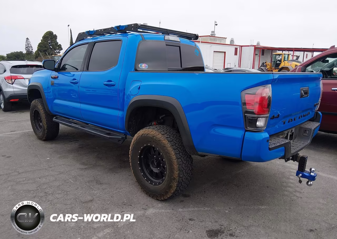 2019 Toyota Tacoma Trd Pro VIN:5TFCZ5AN5KX182976 - 3