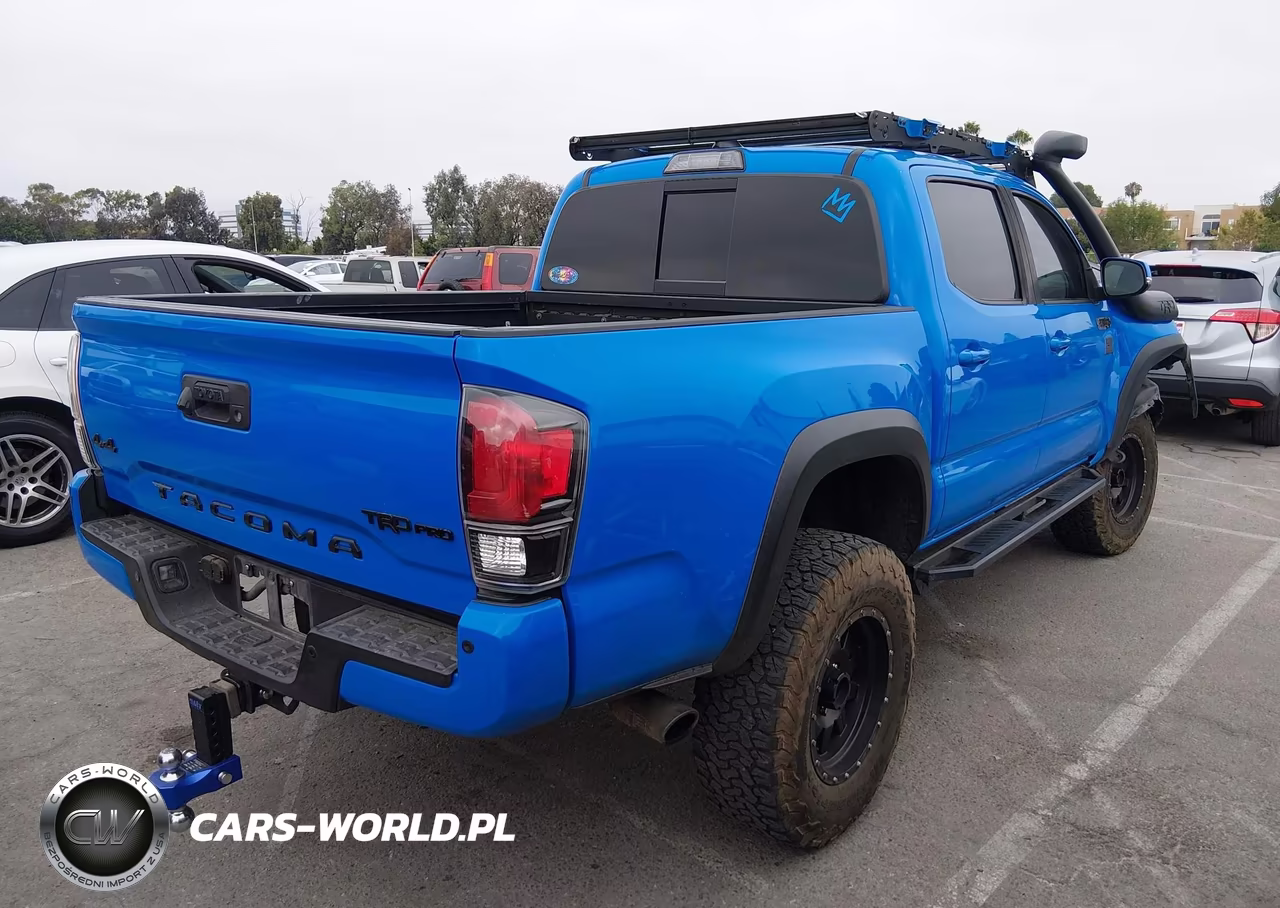 2019 Toyota Tacoma Trd Pro VIN:5TFCZ5AN5KX182976 - 4
