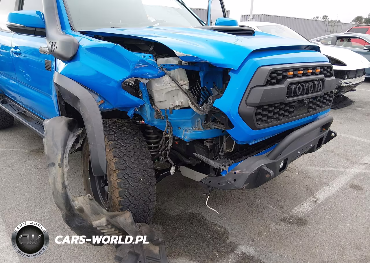 2019 Toyota Tacoma Trd Pro VIN:5TFCZ5AN5KX182976 - 6