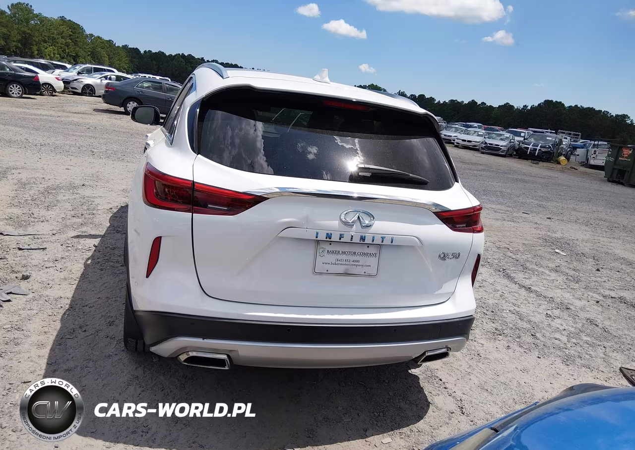 2019 Infiniti Qx50 Essential VIN:3PCAJ5M17KF124451 - 17