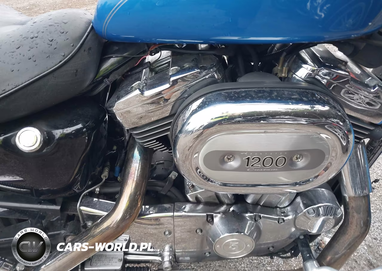 2002 Harley-Davidson Xl1200 C VIN:1HD1CGP172K161065 - 8
